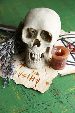 Composition with skull, old magic symbols, candle and dry herbs
