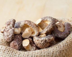 shiitake mushroom in hessian bag