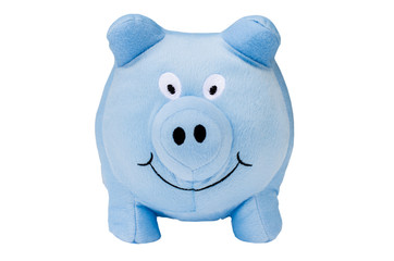 Sweet blue pig isolated on white background