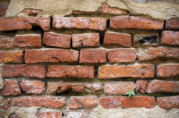 brick wall surface