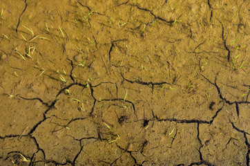 cracks in the ground