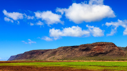 Farmland in Kauai
