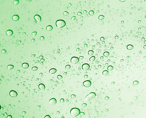 water drops on green glass. macro
