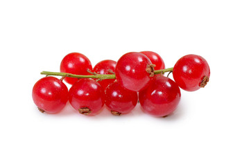 Branch of red currant isolated on white background