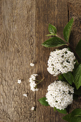 flowers on wooden table background