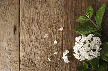 Plakat flowers on wooden table background