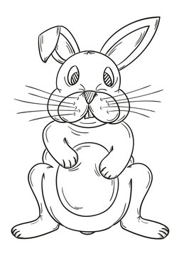 sketch of the rabbit