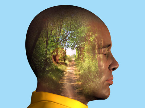 My way, mans profile with forest path inside the head