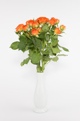 orange roses