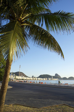 Sunrise Copacabana Beach Rio de Janeiro Palm Tree