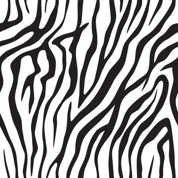 Zebra stripes texture seamless background.