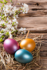 Easter colored eggs on wood