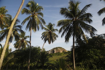 Naklejka premium Parco statale di Pedra da Boca, Paraiba Brasil