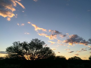 Sunset with trees and clouds