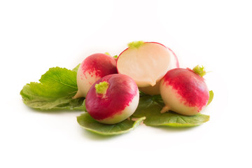 Radish isolated on white background