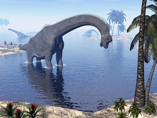 Fototapeta premium Brachiosaurus dinosaur in water - 3D render
