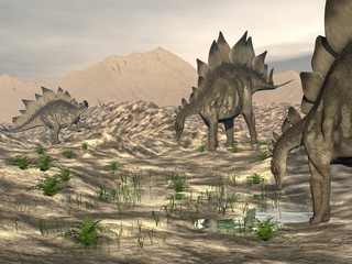 Stegosaurus near water - 3D render © Elenarts