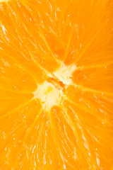 macro photo of an orange for backgrounds