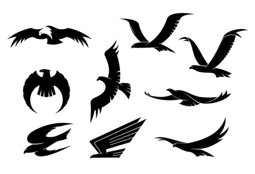 Silhouette set of flying birds