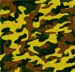 Fototapeta premium seamless background of camouflage fabric