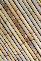 The texture of the dried bamboo sticks