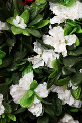 artificial white flowers