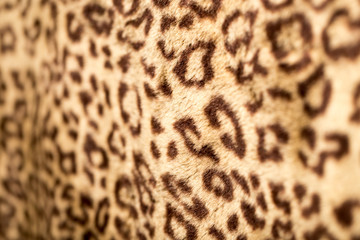 Leopard Skin