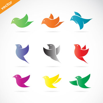 Vector group of colorful bird