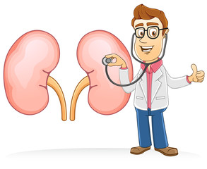 Doctor check kidney using a stethoscope