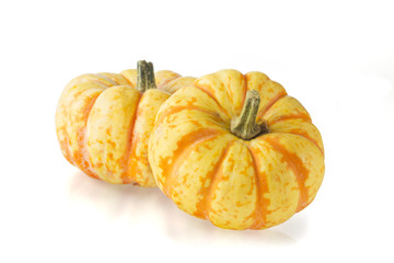 Sweet Lightning Squash