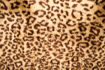 Leopard Skin