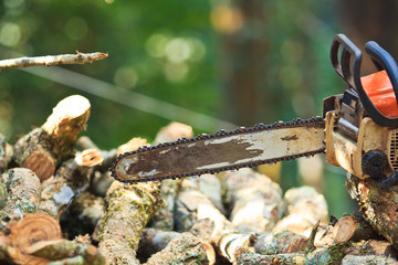 Logger man is cutting wood with a chainsaw
