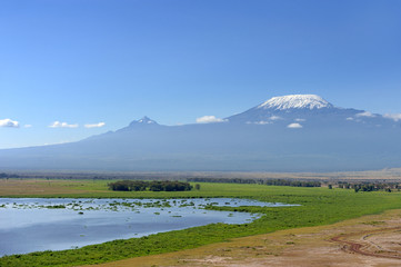 Obraz premium Kilimandżaro