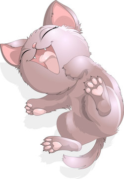 sleep kitten