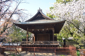 Japanese Temple