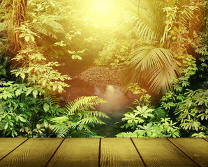 Obraz premium Forest light in jungle
