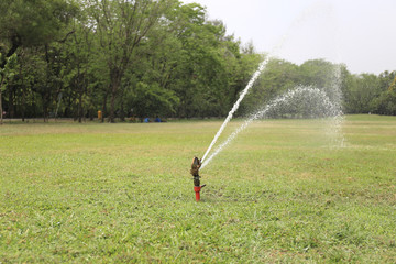 Sprinkler spraying water over green grass