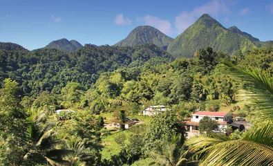 Poster Île Traumhafte Landschaft auf Dominica - Karibik