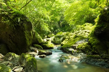 Tuinposter Duidelijke stroom van Yanbaru (Okuma River) © yuuta