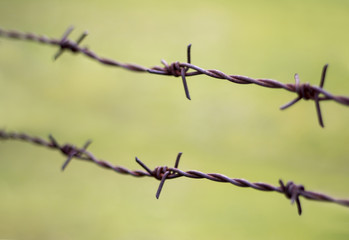 Barbed wire