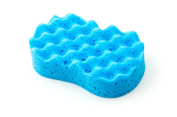 Isolated sponge