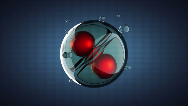 loop rotate cell division illustration