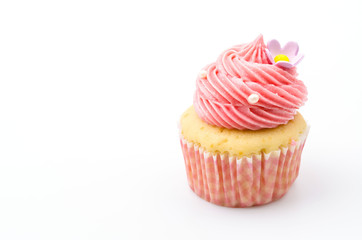 Vanilla cupcakes isolated white background