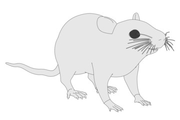 cartoon image of mus musculus