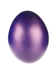 violet easter egg