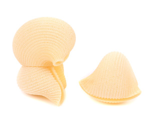 three Italian pasta shells
