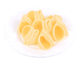 Italian pasta shells on a white plate