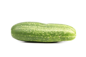 Single green cucumber