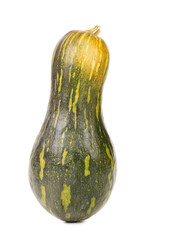 close up of small green pumpkin