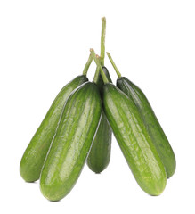 close up of Five cucumbers